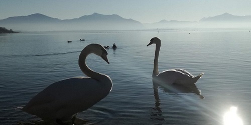 Regierungsbezirk Oberbayern