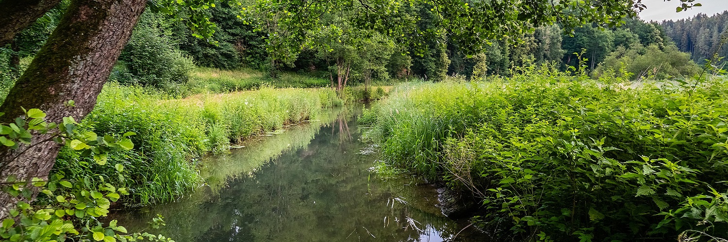 Markenpartner und Sponsoren für den Regierungsbezirk Oberfranken